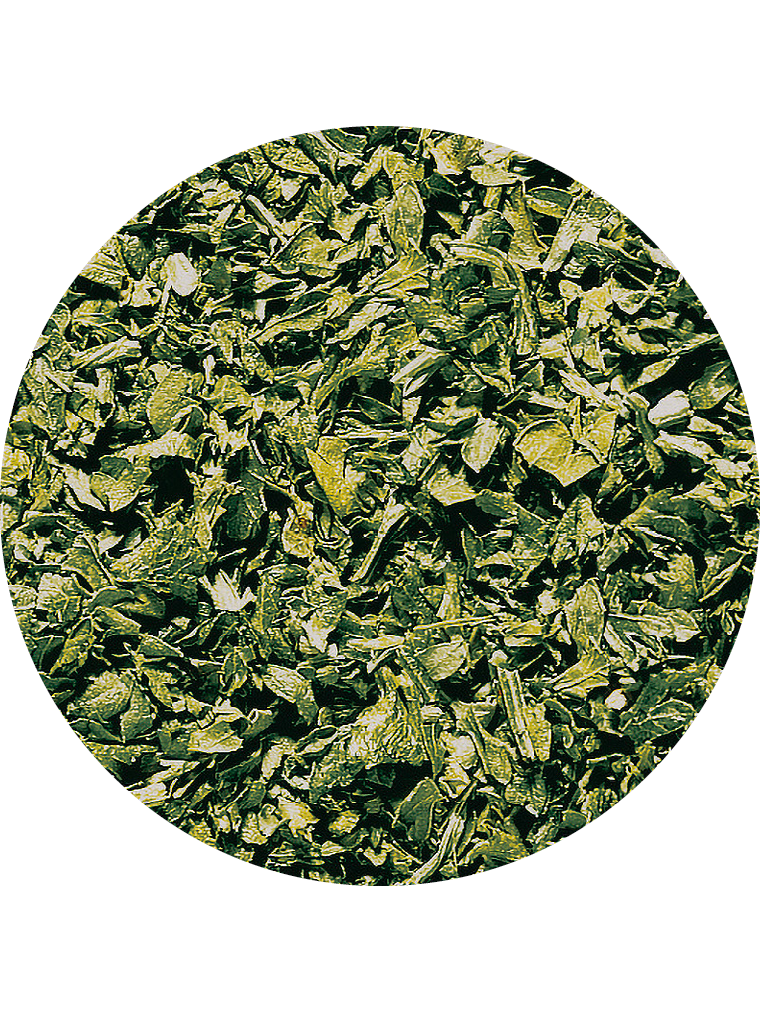 Petersilie, gerebelt