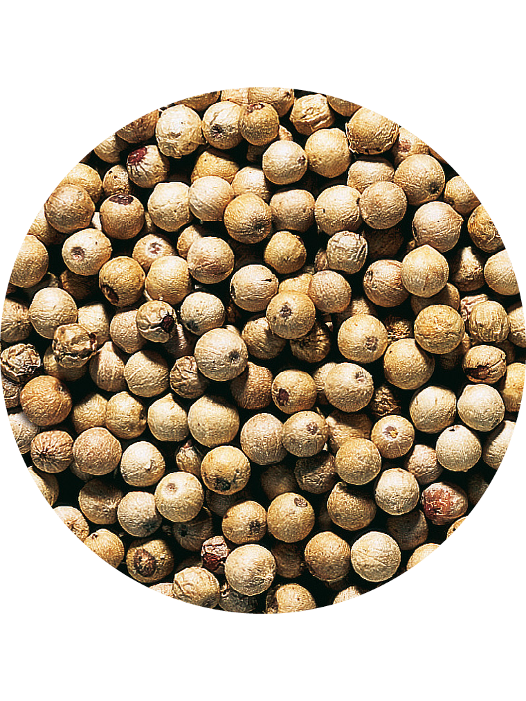 Pfeffer weiß, ganz