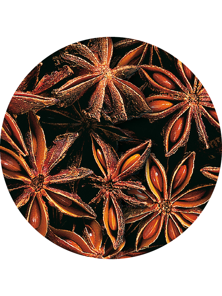 Sternanis, ganz