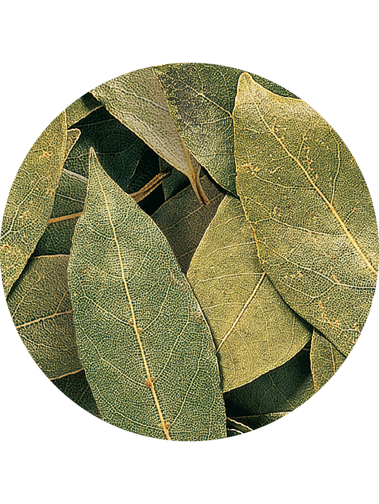 Lorbeerblätter, ganz