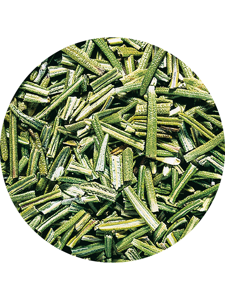 Rosmarin, geschnitten