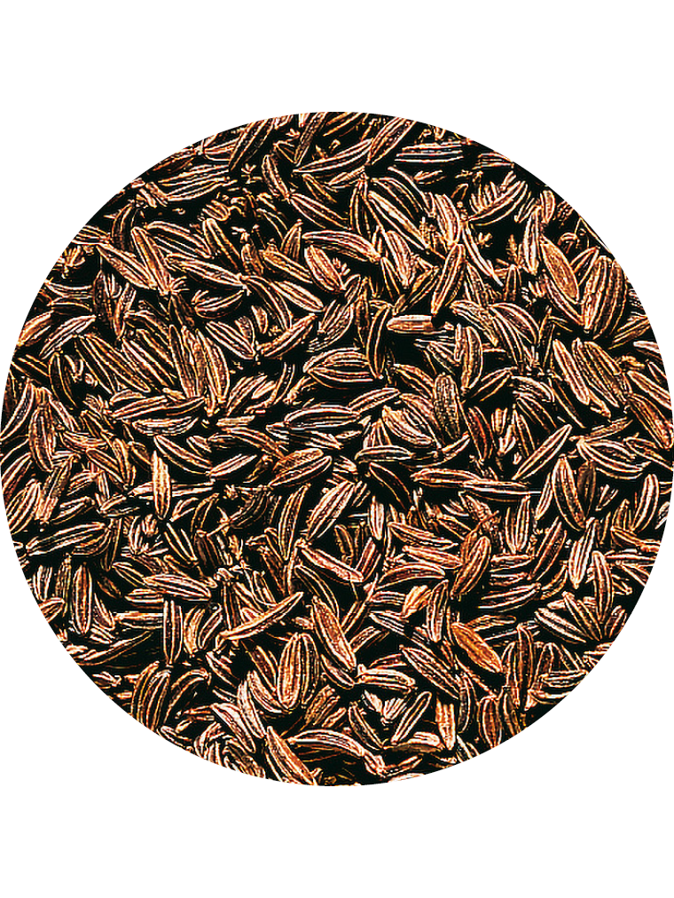 Kümmel, ganz
