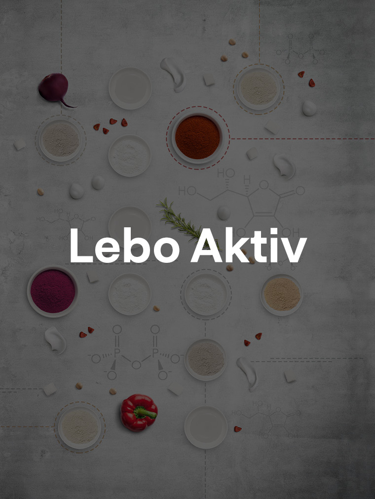 Lebo Aktiv