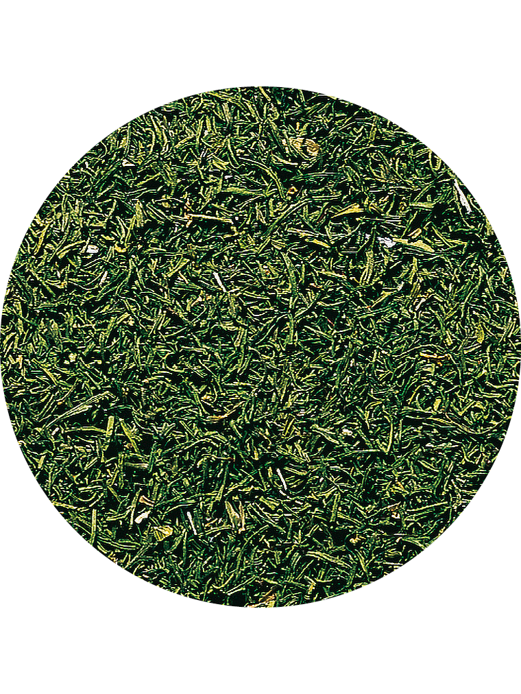 BIO Dill, getrocknet