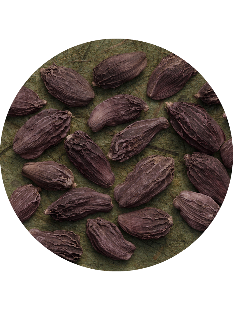 Nepal-Kardamom violett