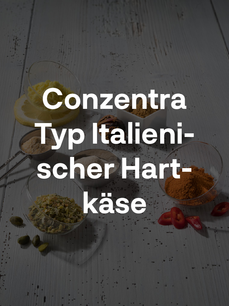 Conzentra Typ Italienischer Hartkäse