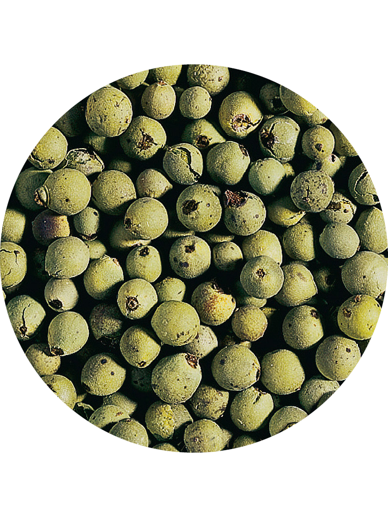 Pfeffer grün ganz
