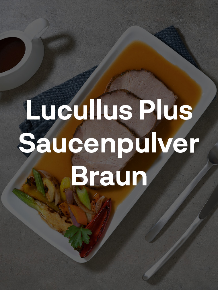 Lucullus Plus Saucenpulver Braun