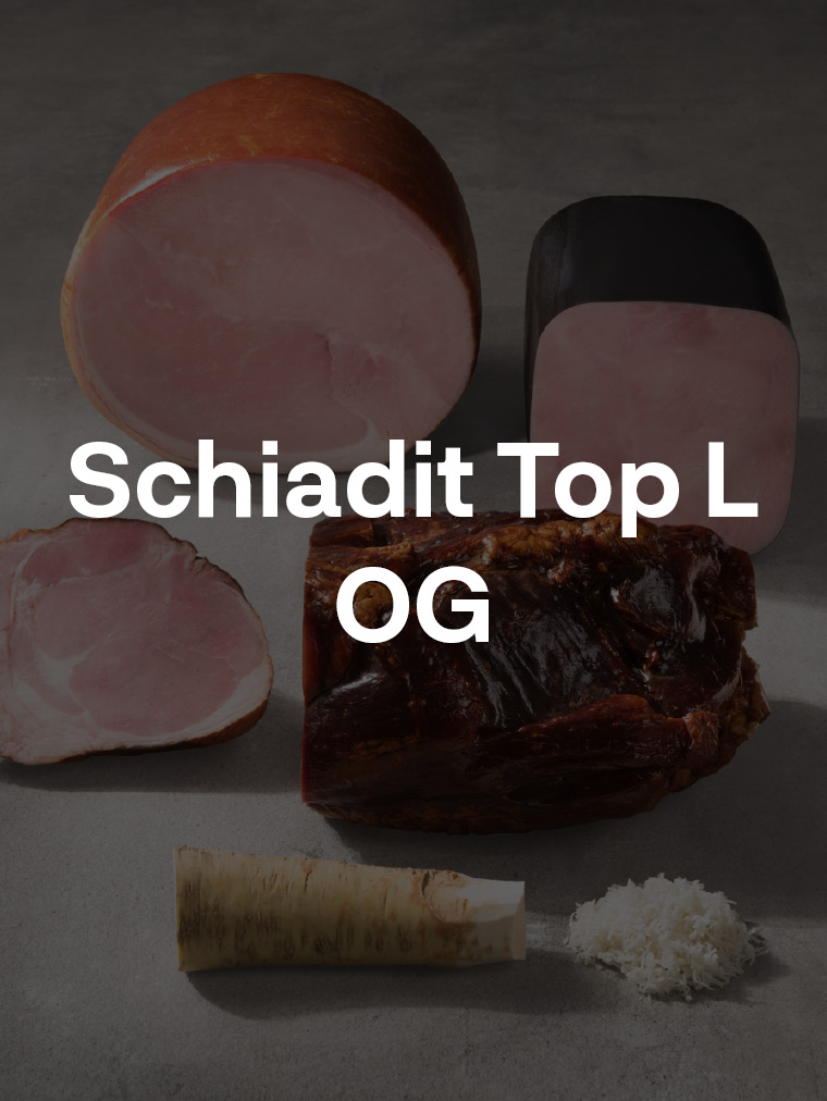 Schiadit Top L OG