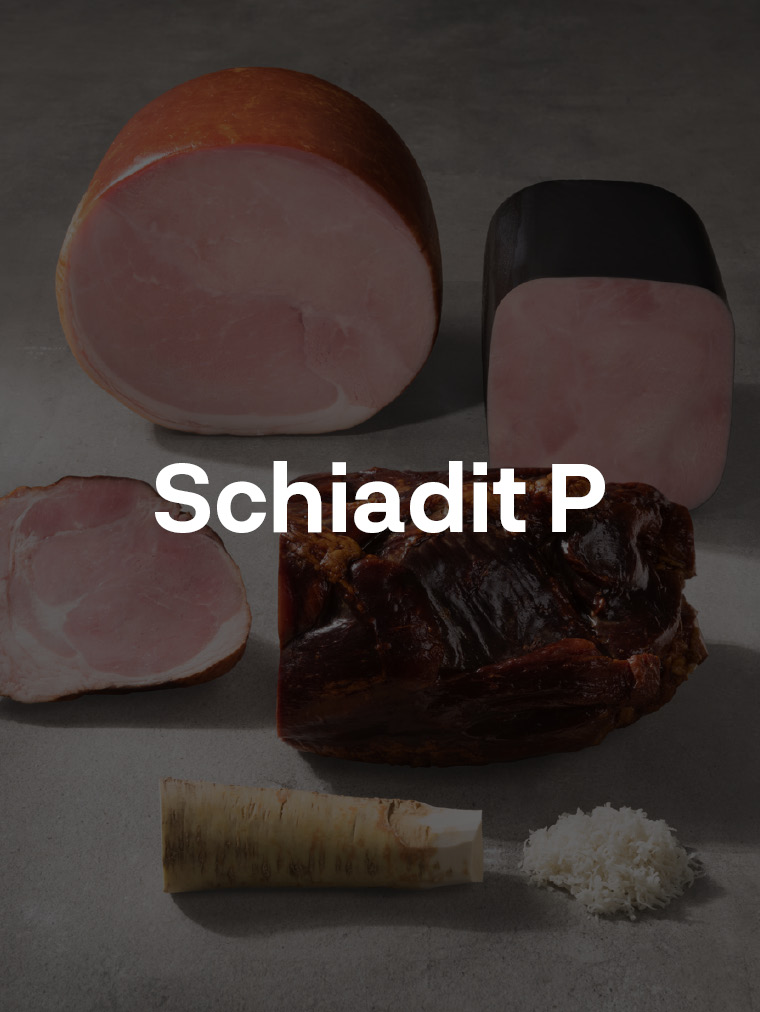 Schiadit P