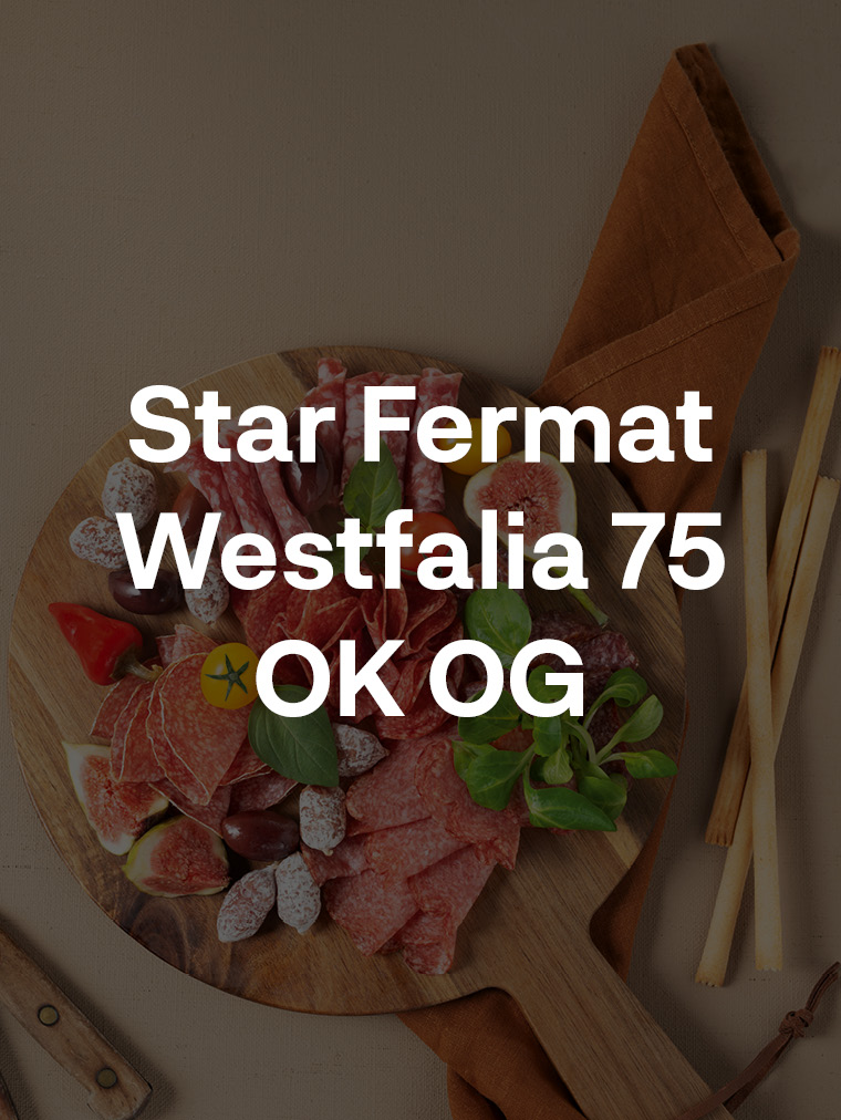 Star Fermat Westfalia 75 OK OG