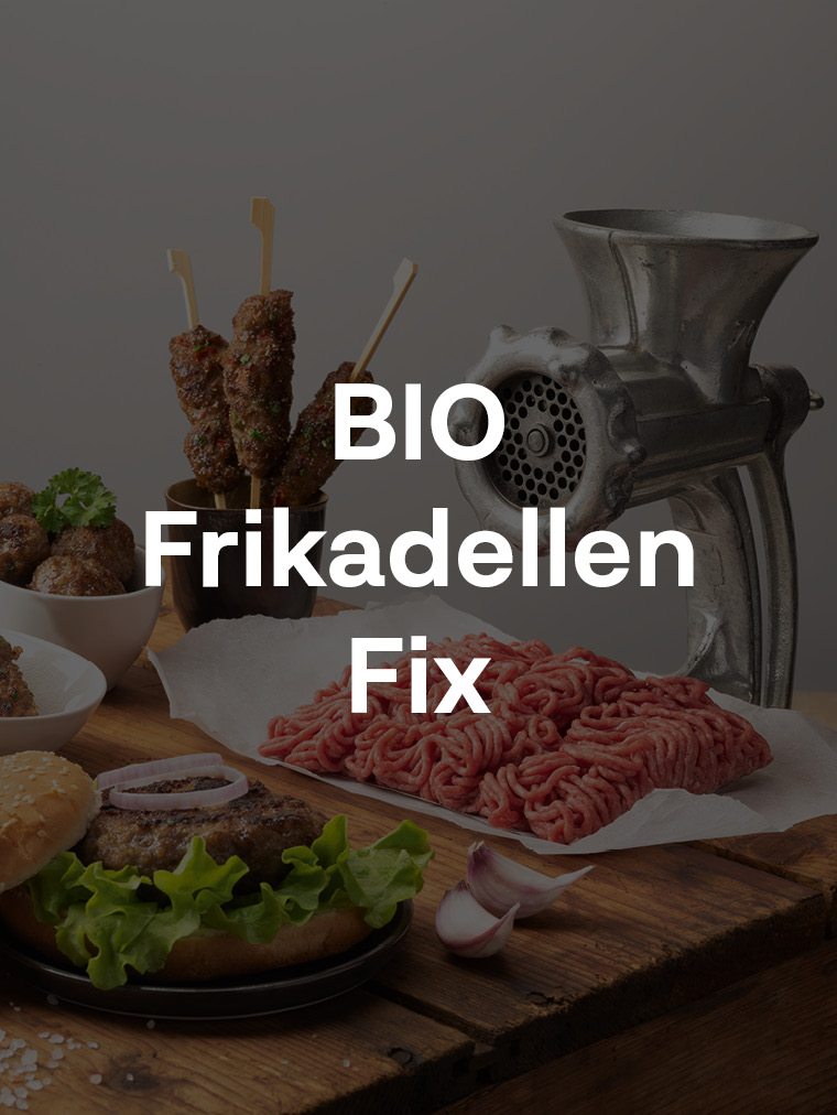 BIO Frikadellen Fix