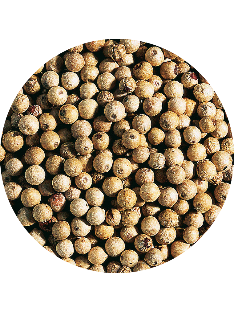 BIO Pfeffer weiß ganz