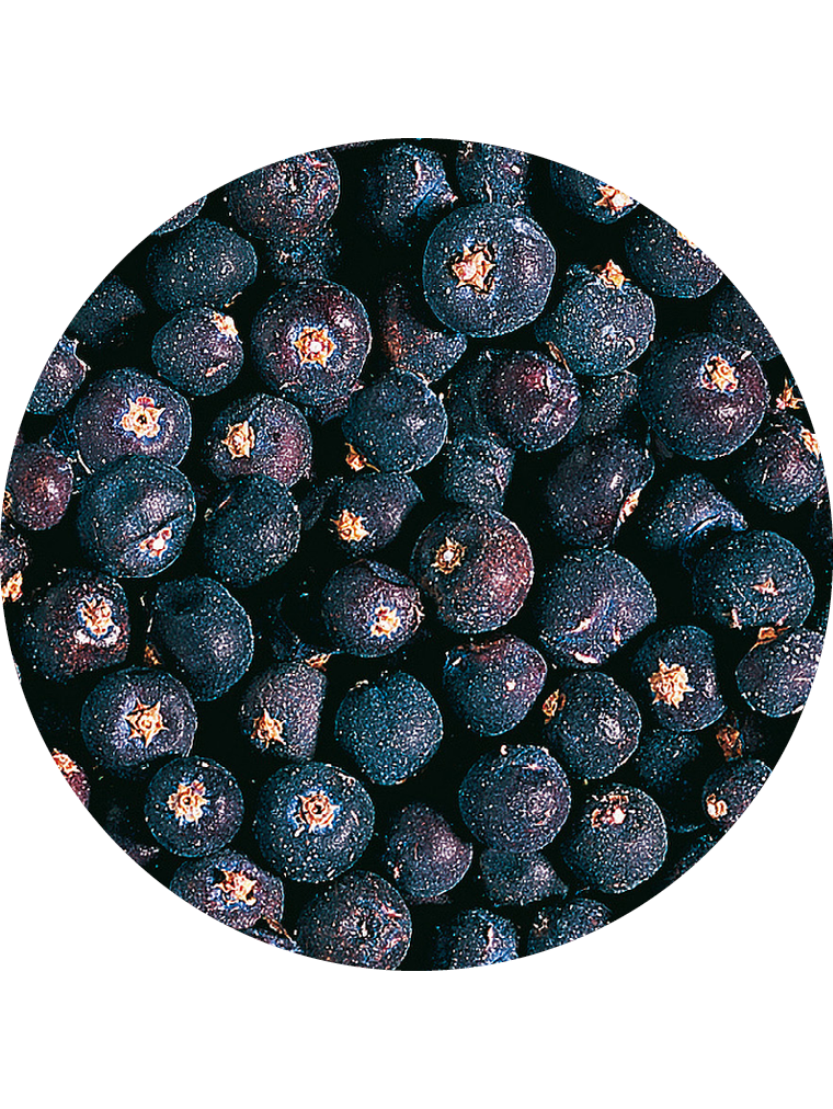 BIO Wacholderbeeren ganz