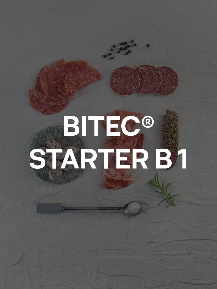 BITEC® STARTER B 1