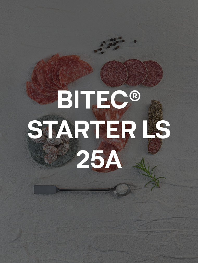BITEC® STARTER LS 25A