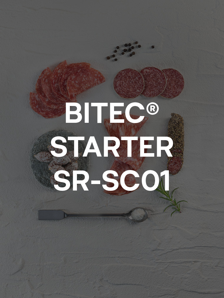 BITEC® STARTER SR-SC01