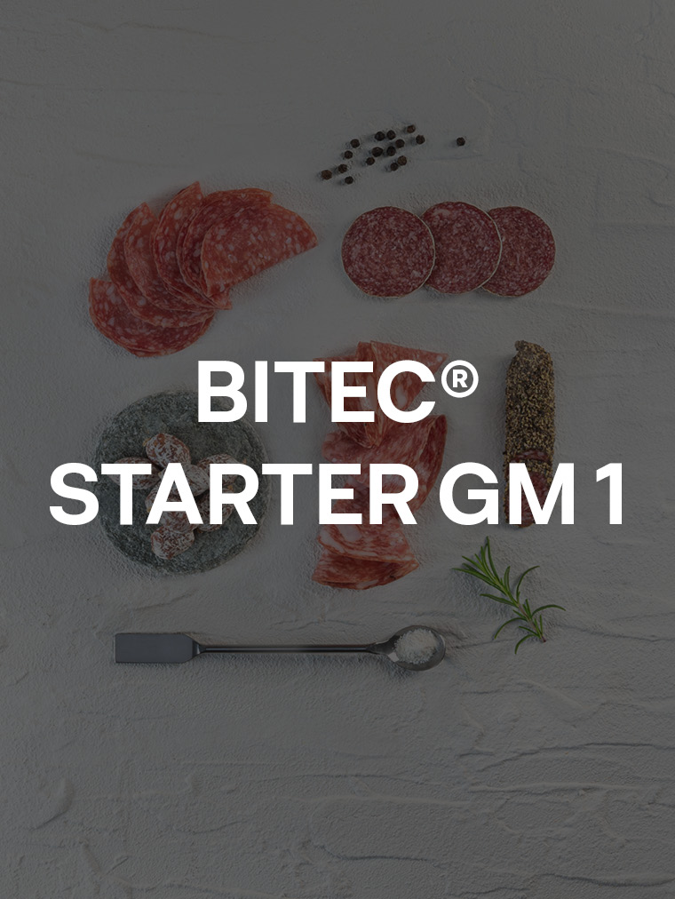 BITEC® STARTER GM 1