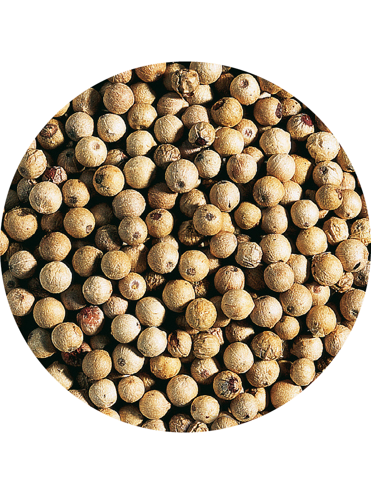 Pfeffer weiß Premium ganz