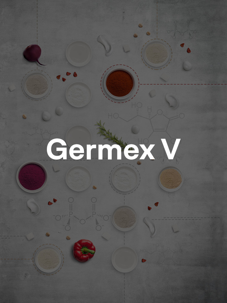 Germex V