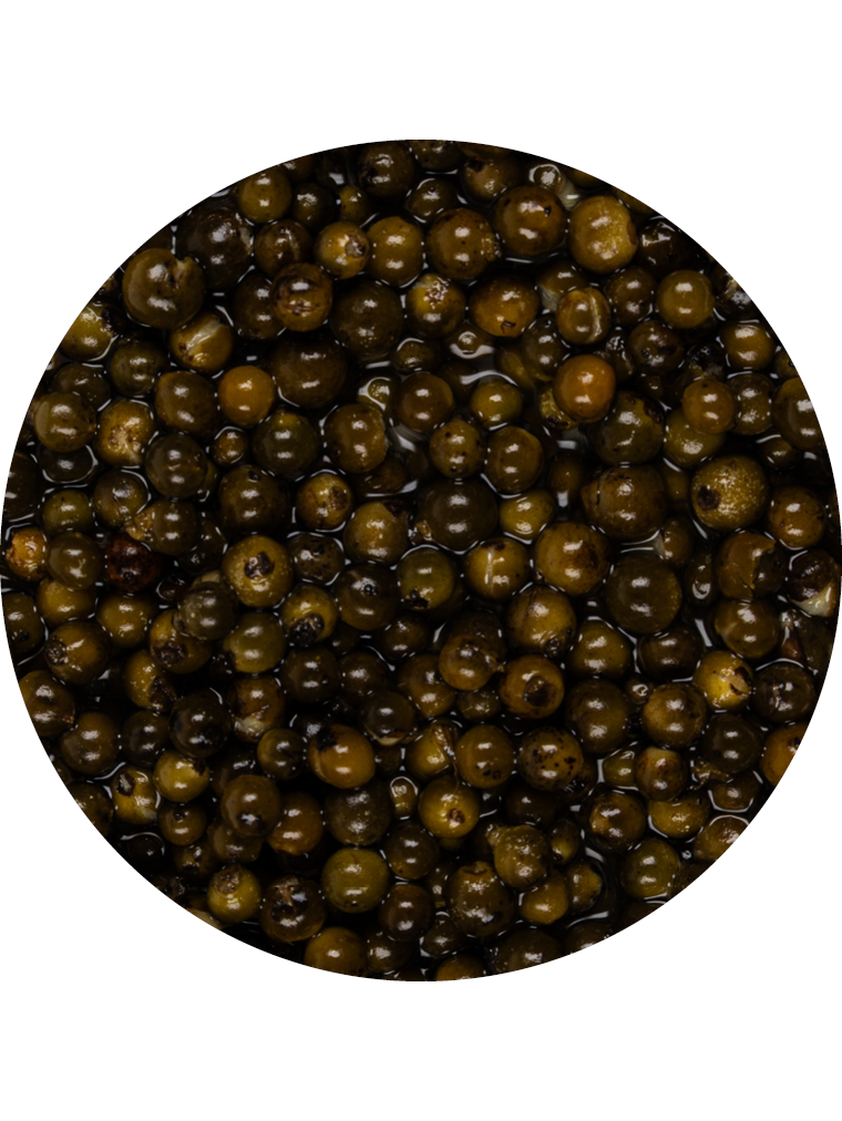 BIO Pfeffer grün in Lake