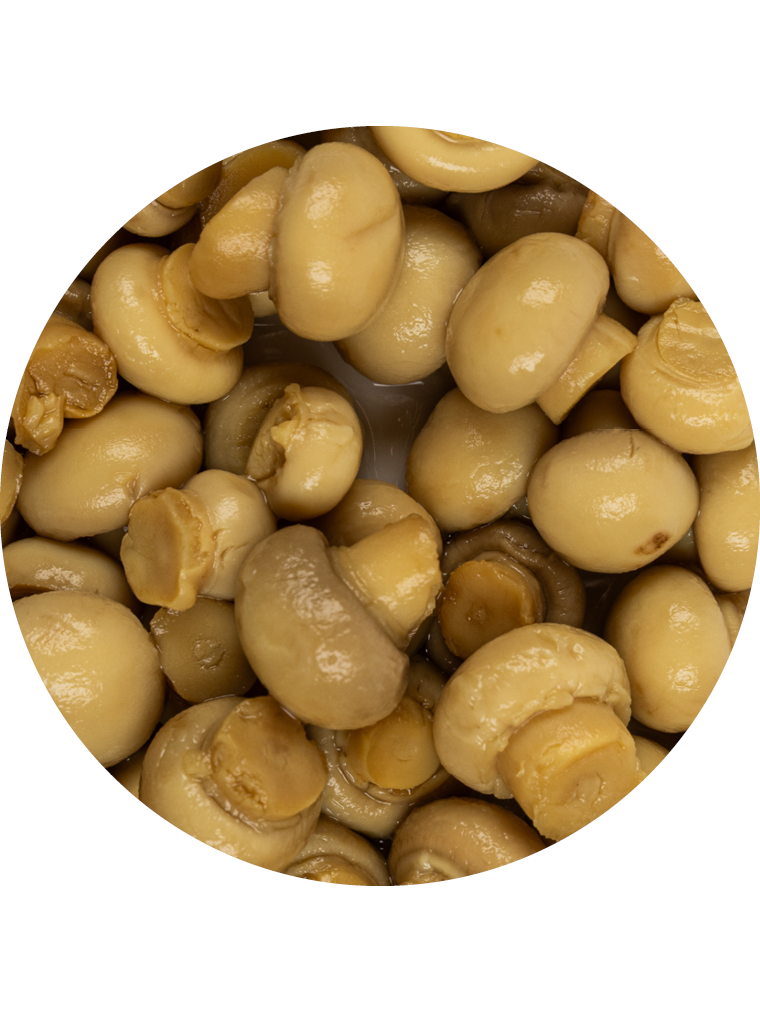 Champignons Miniature