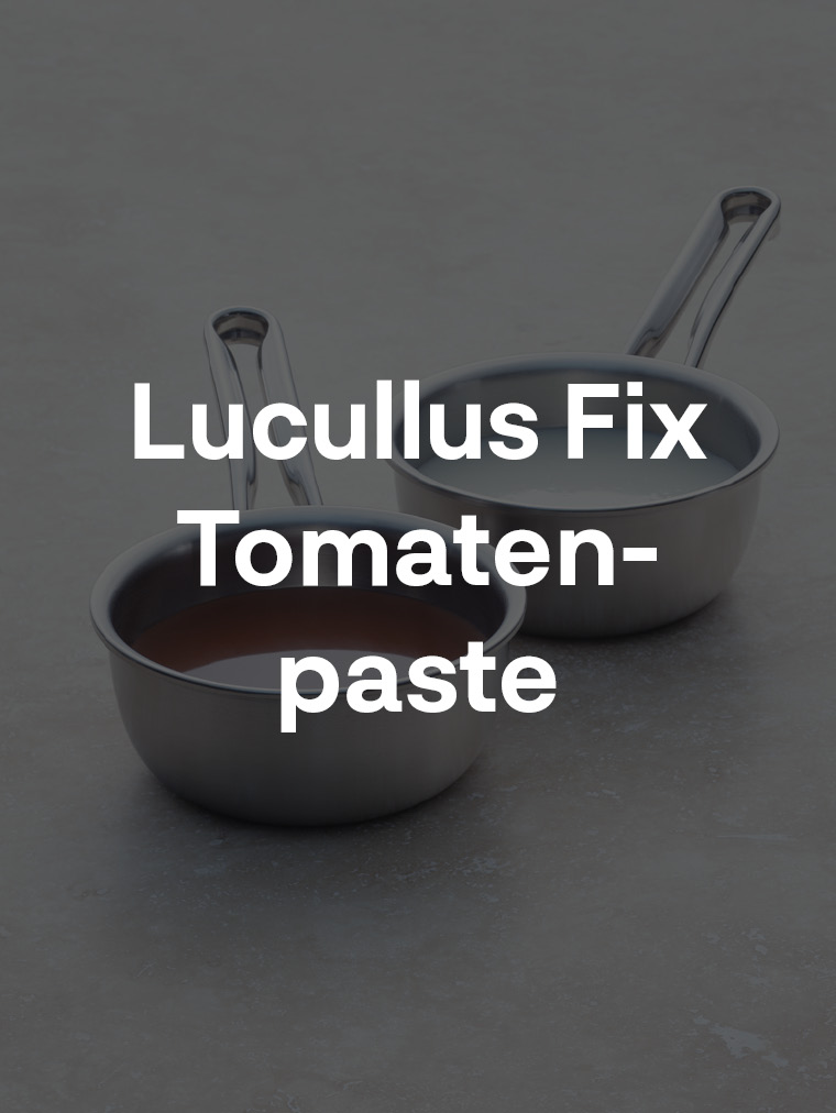 Lucullus Fix Tomatenpaste