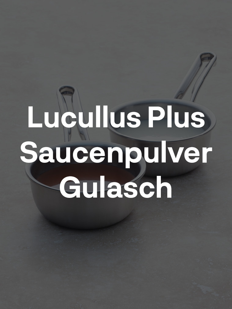 Lucullus Plus Saucenpulver Gulasch