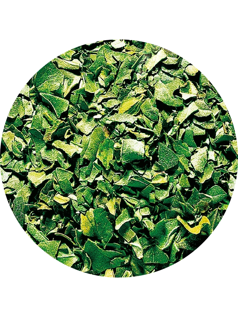 Basilikum, gefriergetrocknet