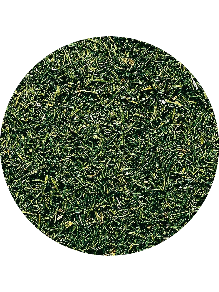 BIO Dill, getrocknet