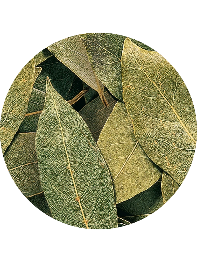 BIO Lorbeerblätter, ganz