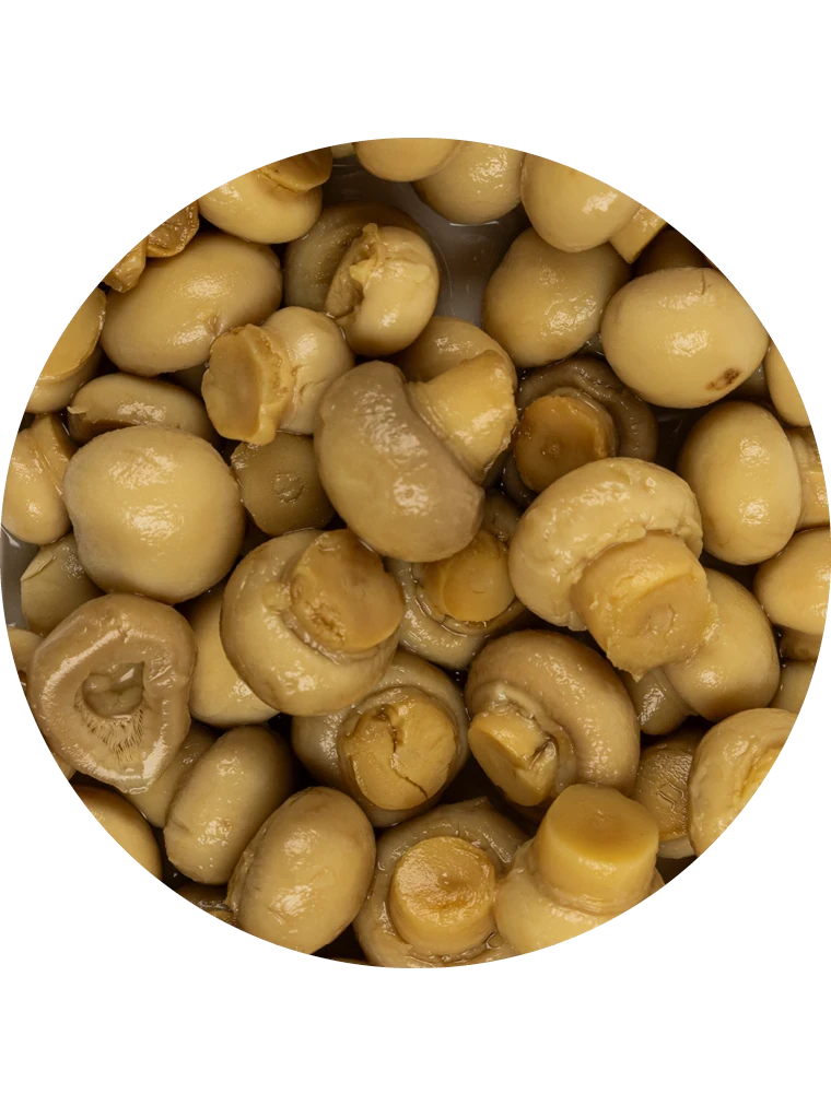 WIBERG WIBERG | Champignons Miniature | 2,6 kg ATG Produktbild