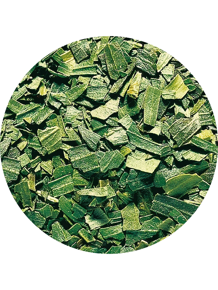 Estragon, gefriergetrocknet