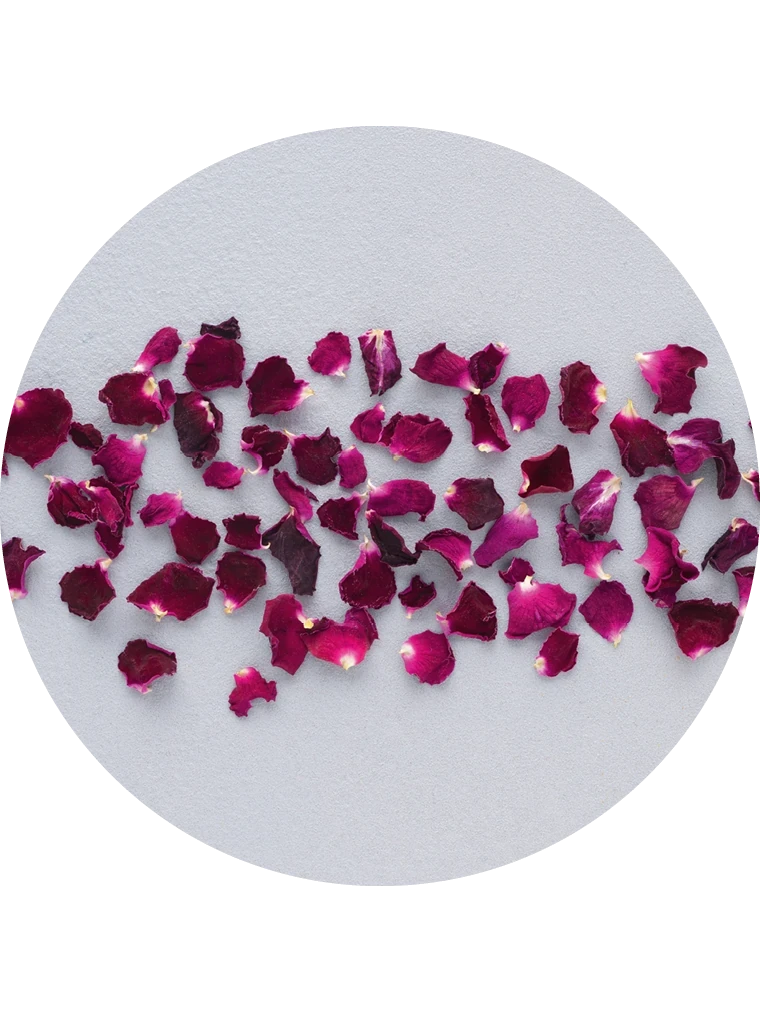 Rosenblüten Blätter**