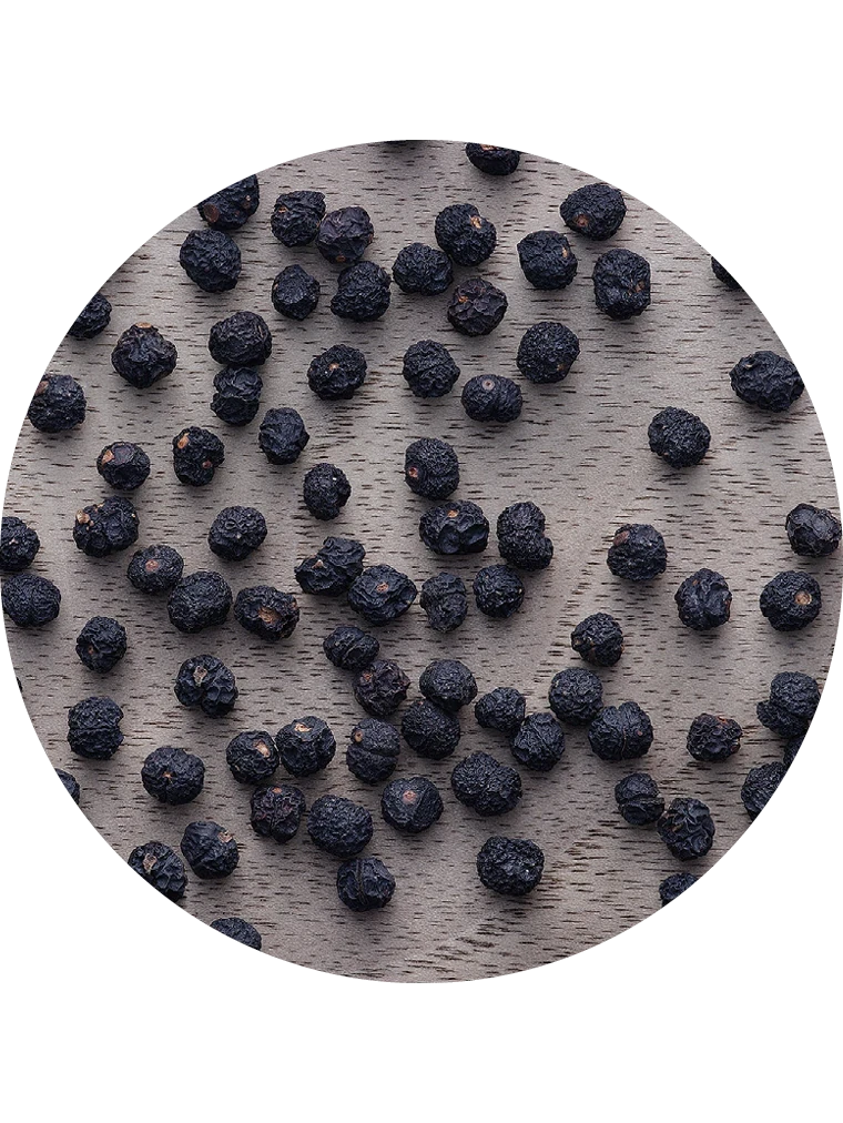 Tasmanischer Bergpfeffer