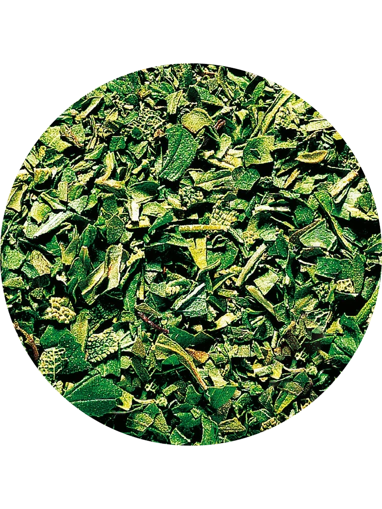 Italienische Kräuter, gefriergetrocknet