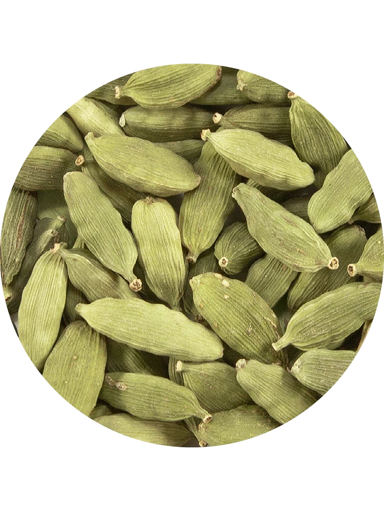 Kardamom, ganz