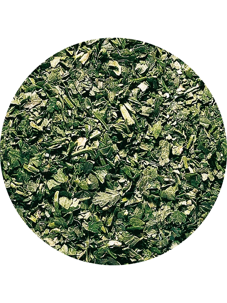 Kerbel, gefriergetrocknet