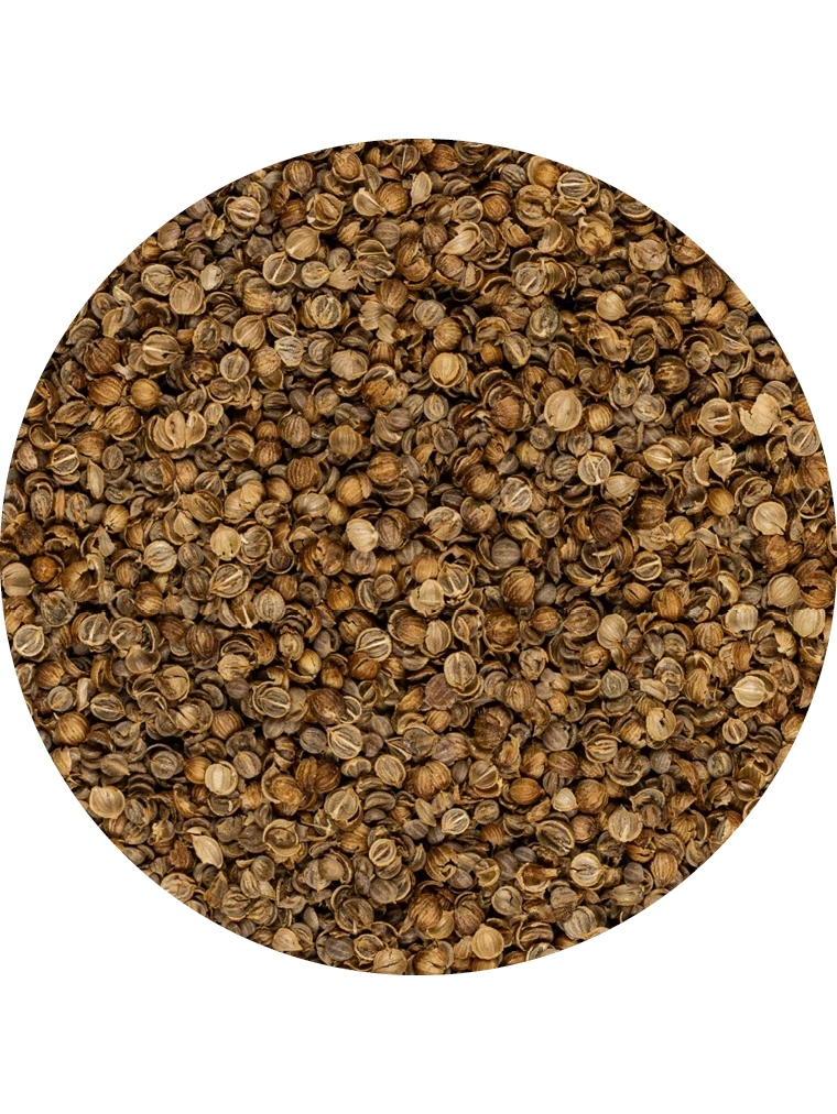 Koriander geschrotet