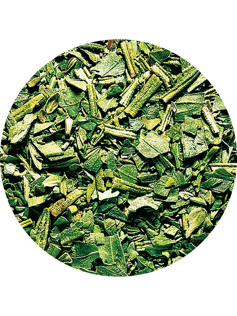 Kräuter der Provence, gefriergetrocknet