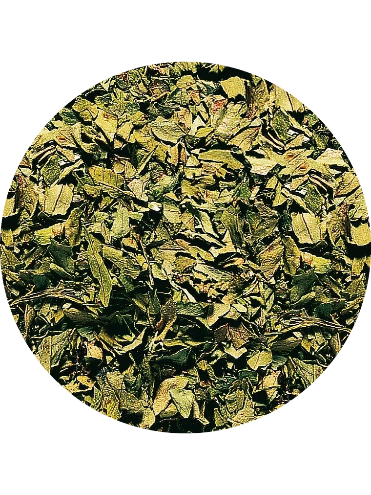 Liebstöckel, getrocknet