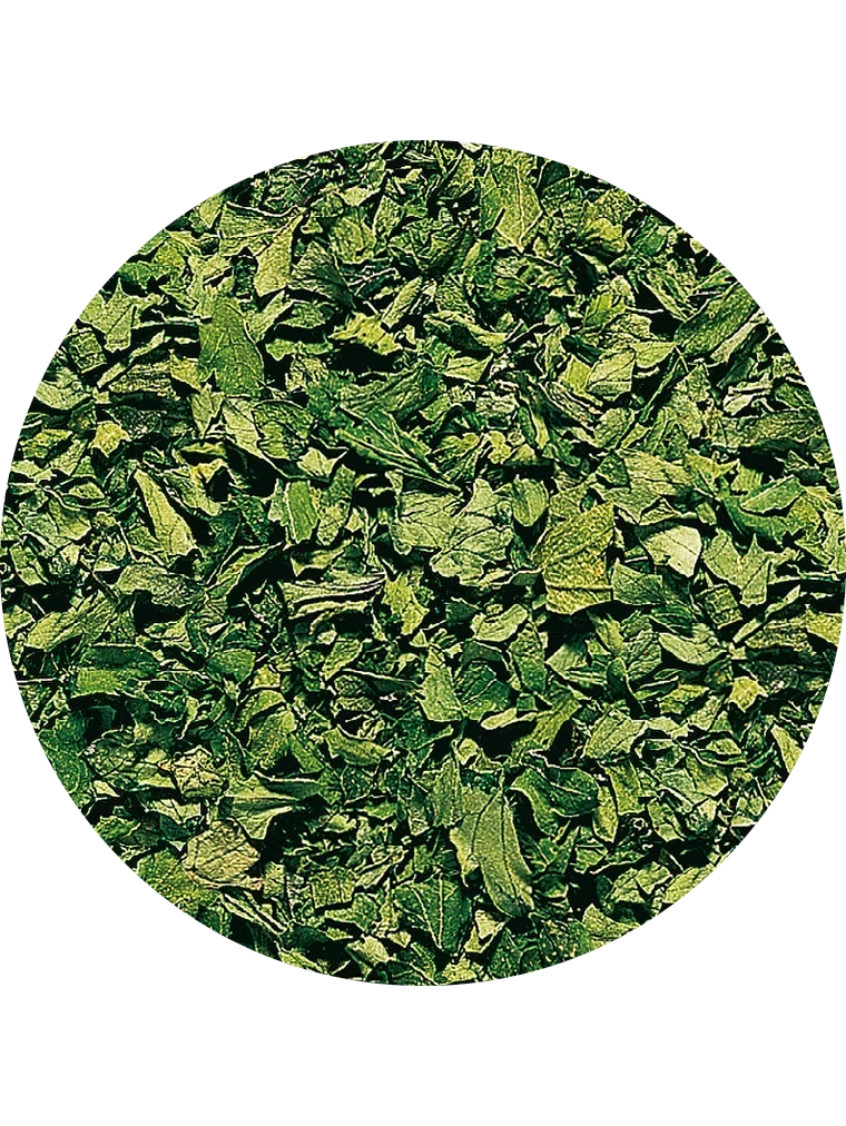 Petersilie, gefriergetrocknet