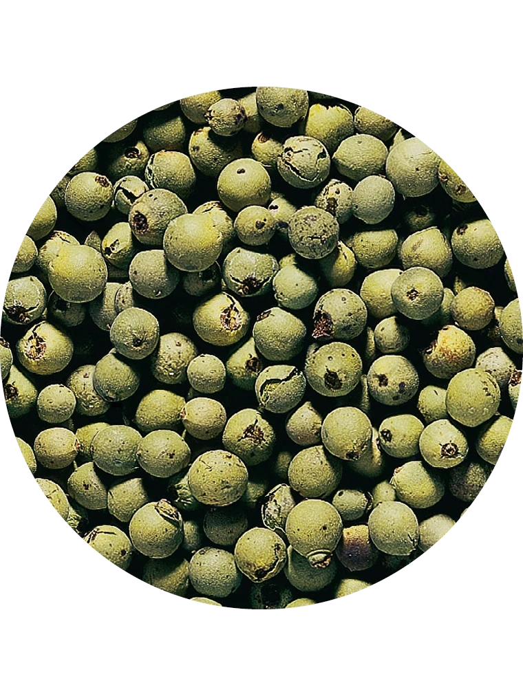 Pfeffer grün ganz