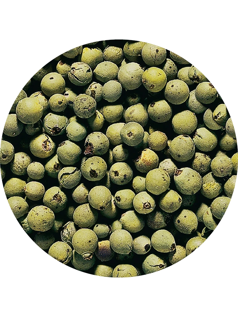 Pfeffer grün, gefriergetrocknet, ganz