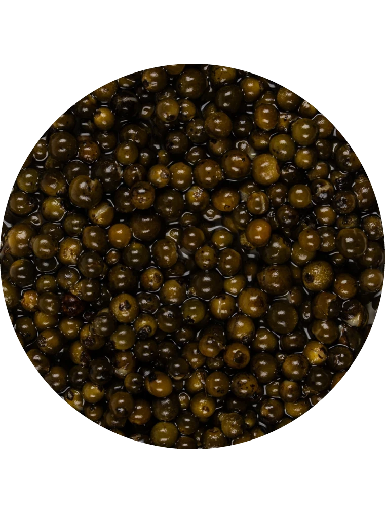 Pfeffer grün in Salz-Lake