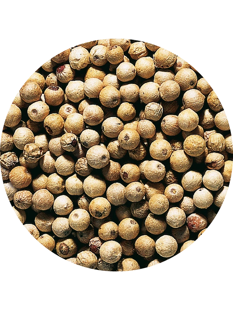 Pfeffer weiß, ganz