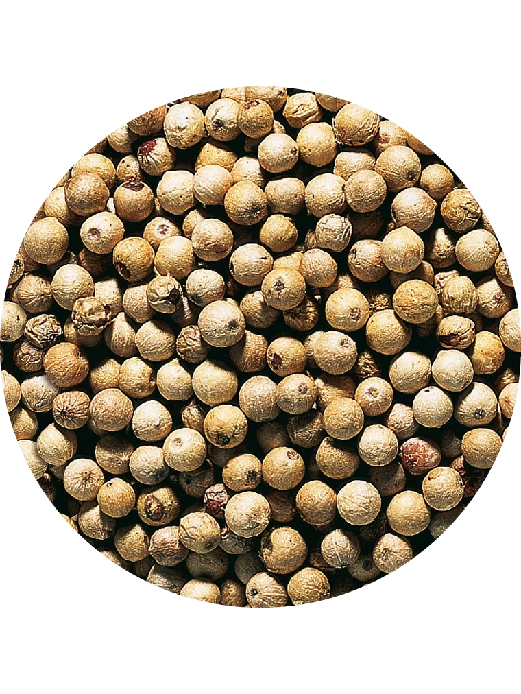 Pfeffer weiß Premium ganz