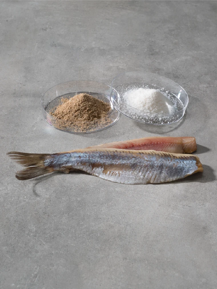 Reifeintensor EC 60.000 + K