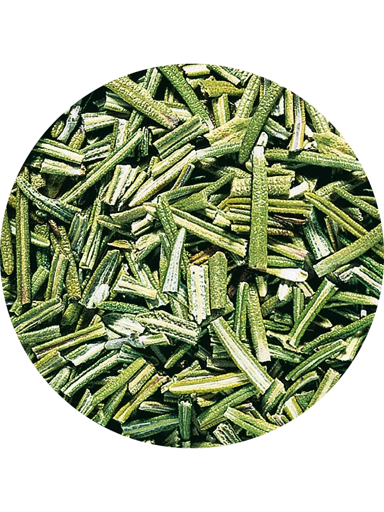 Rosmarin, gefriergetrocknet