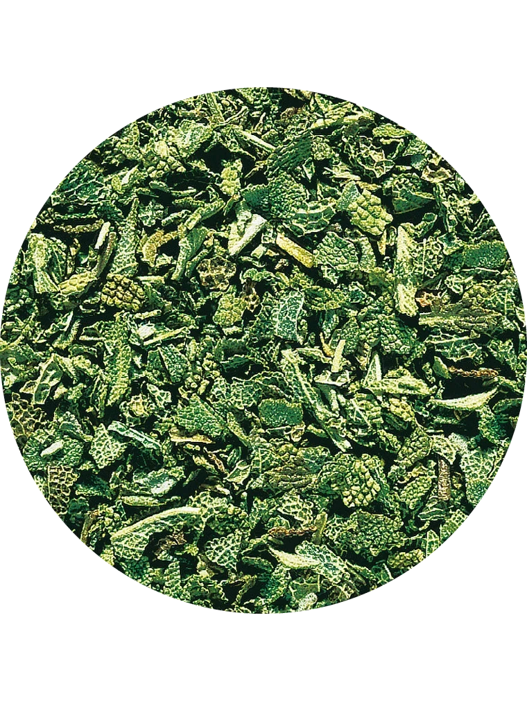 Salbei, gefriergetrocknet